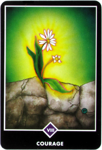 [Osho Zen Tarot Card]